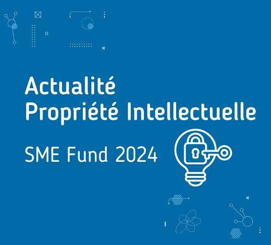 Actu PI SME Fund 2024