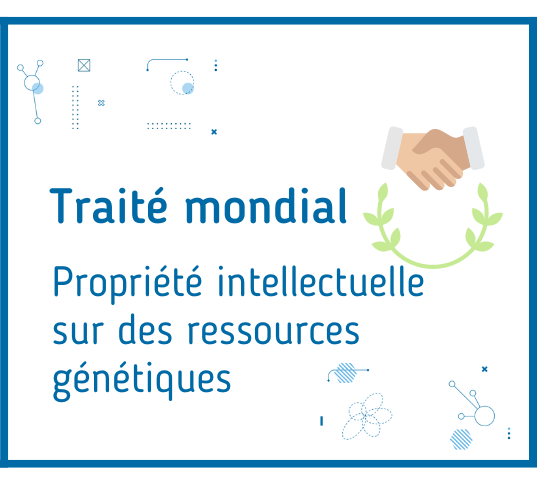 Traité mondial PI ressources génétiques
