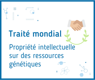 Traité mondial PI ressources génétiques