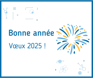 Bonne année 2025