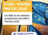 Pastille réseaux sociaux - Etude Visions PME UE 2030