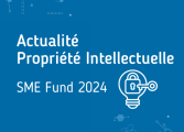 Actualité PI SME Fund 2024